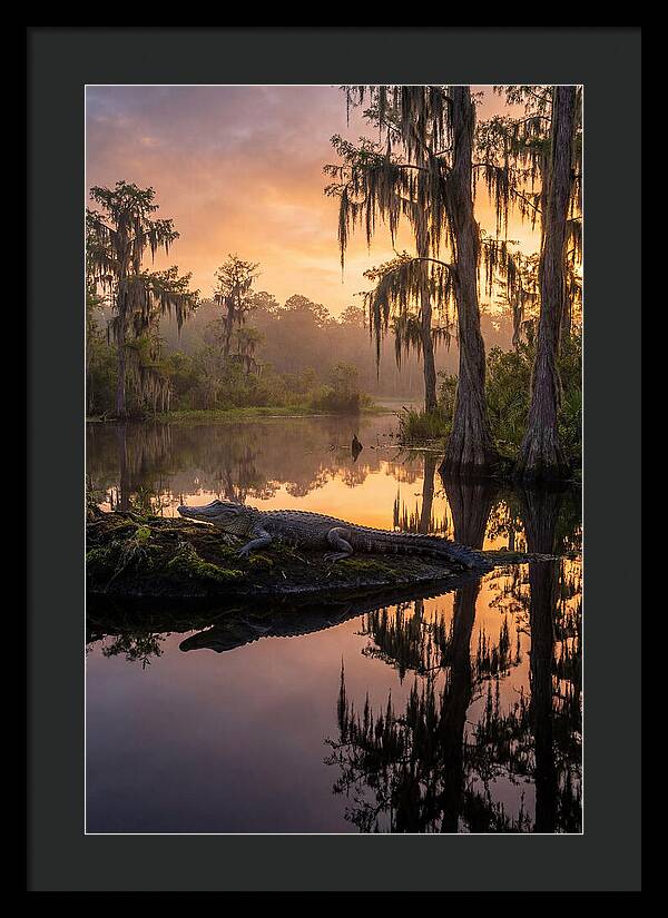 Whispers Of Okefenokee Swamp
