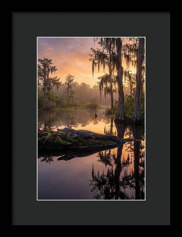Whispers Of Okefenokee Swamp