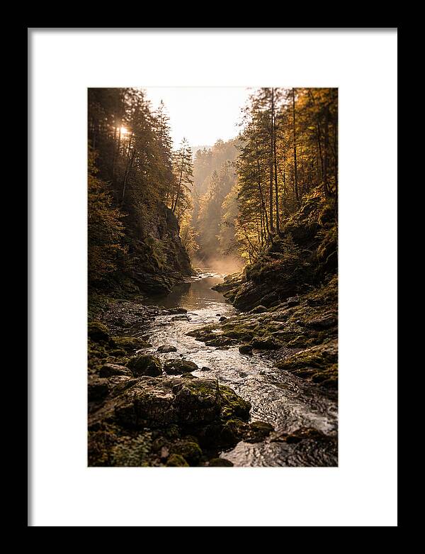 Whispers Of Pine Creek