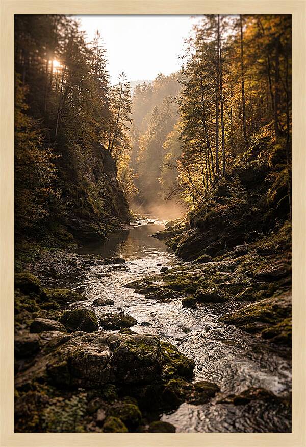 Whispers Of Pine Creek
