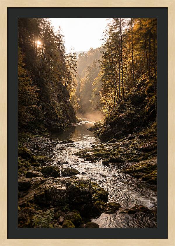 Whispers Of Pine Creek