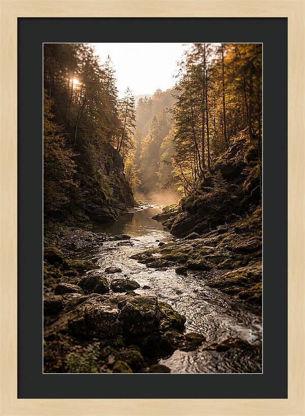Whispers Of Pine Creek