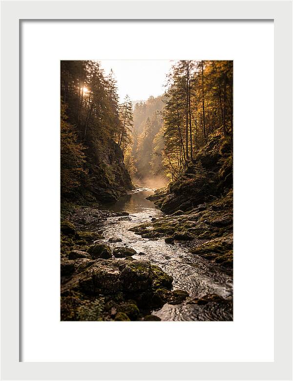 Whispers Of Pine Creek