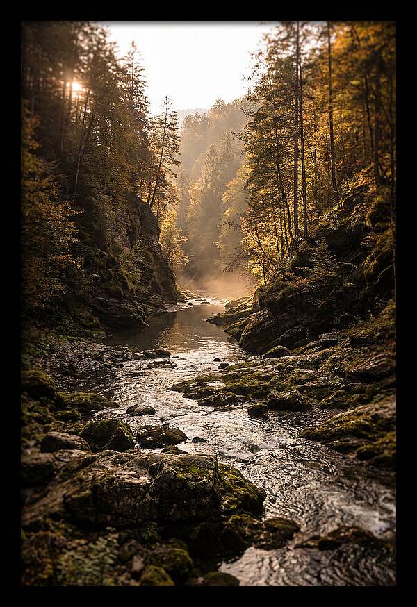 Whispers Of Pine Creek