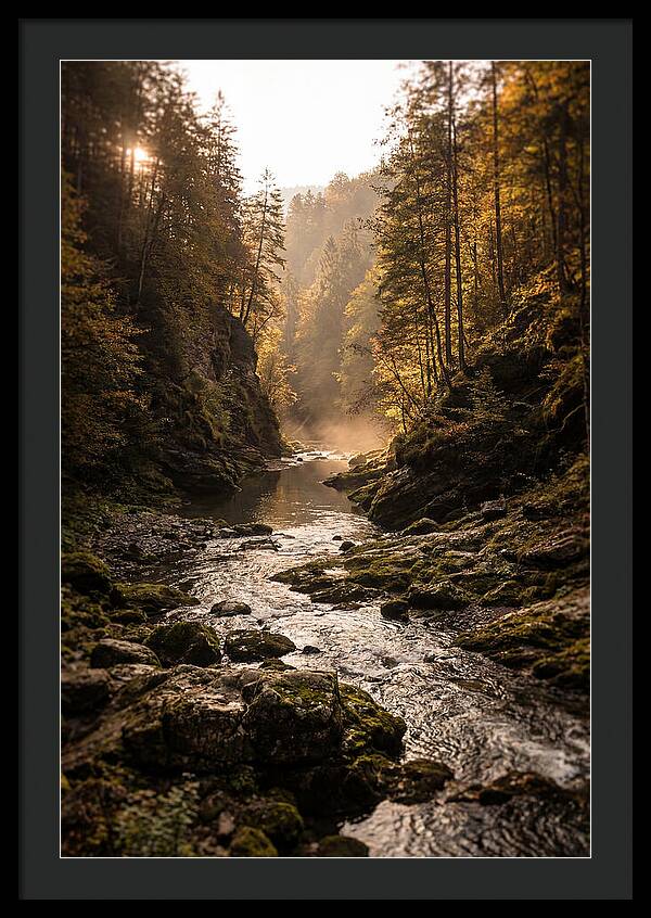 Whispers Of Pine Creek
