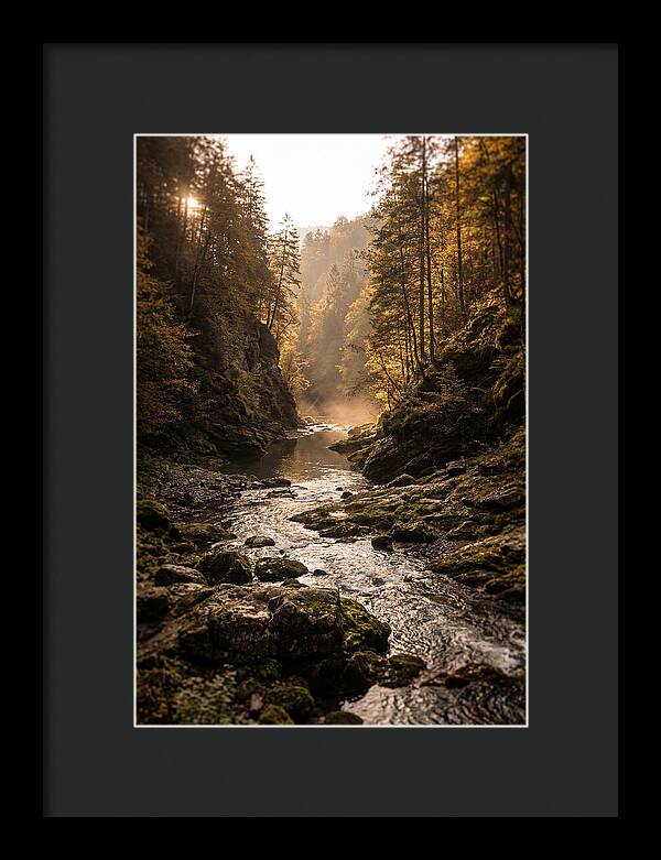 Whispers Of Pine Creek