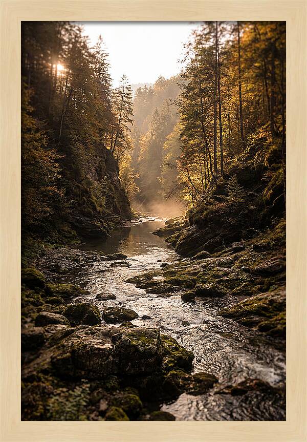 Whispers Of Pine Creek