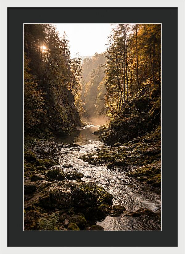 Whispers Of Pine Creek