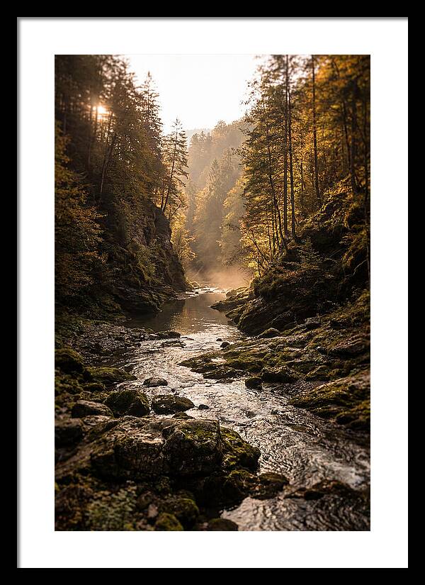 Whispers Of Pine Creek