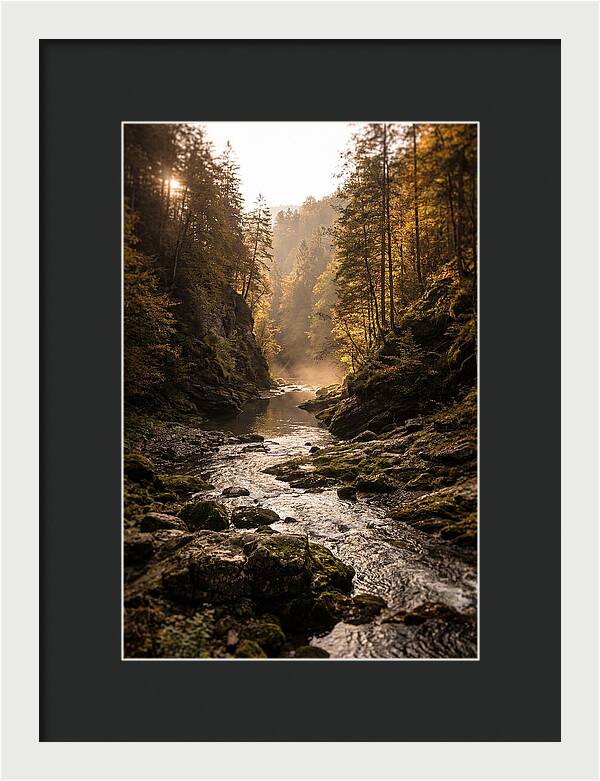 Whispers Of Pine Creek