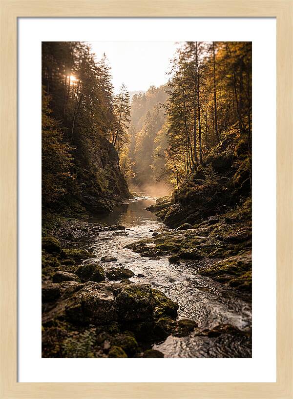Whispers Of Pine Creek