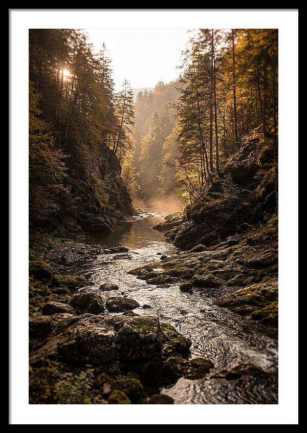 Whispers Of Pine Creek