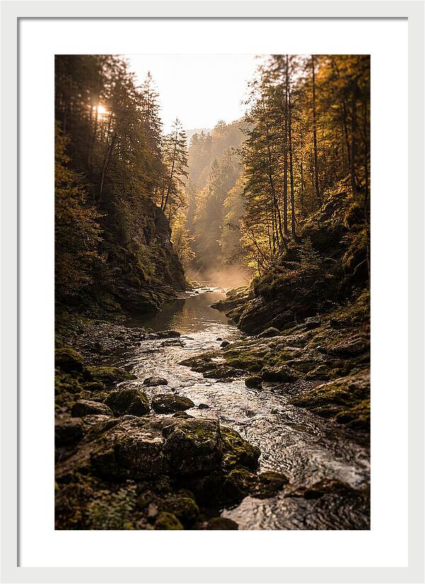 Whispers Of Pine Creek