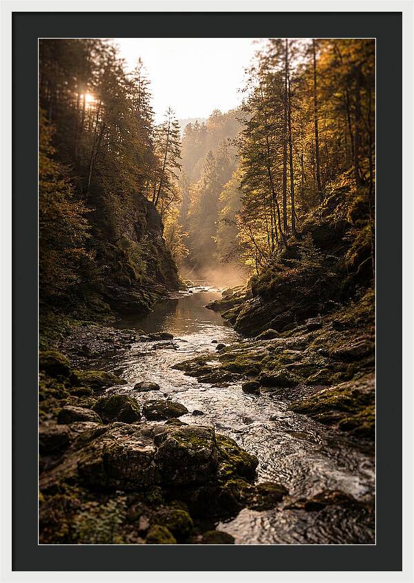 Whispers Of Pine Creek