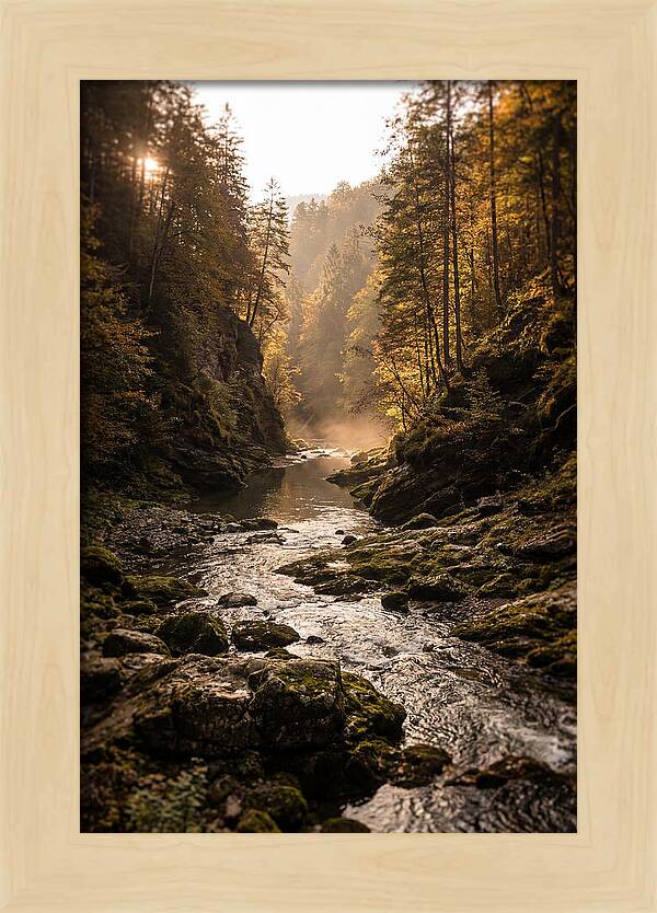 Whispers Of Pine Creek