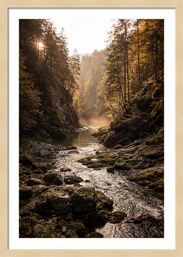 Whispers Of Pine Creek