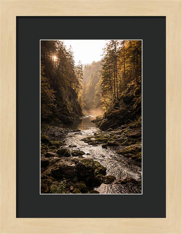 Whispers Of Pine Creek