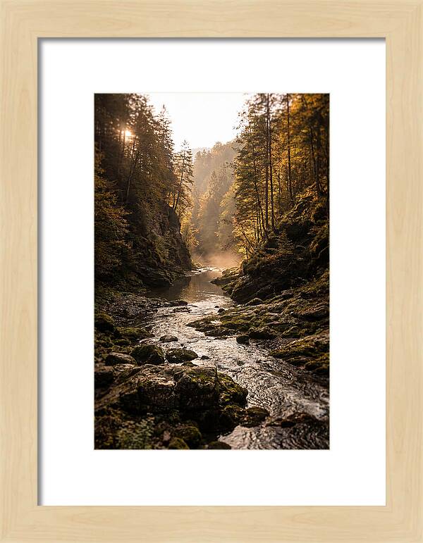 Whispers Of Pine Creek