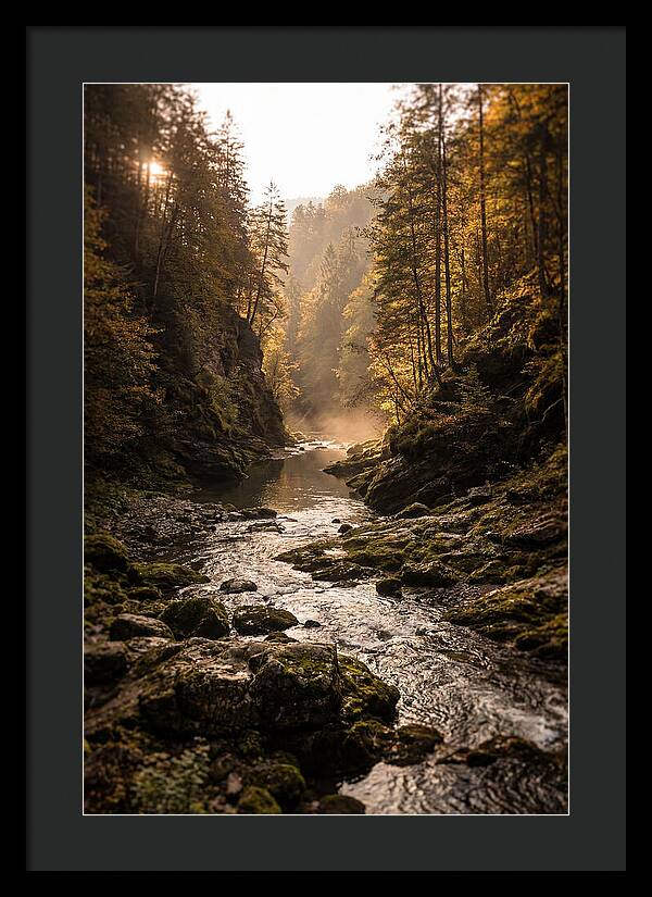 Whispers Of Pine Creek