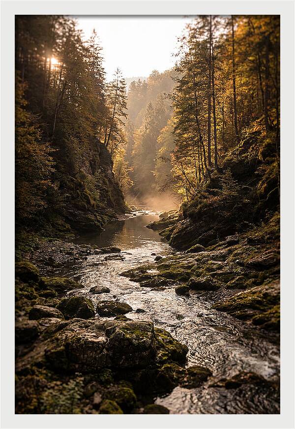 Whispers Of Pine Creek
