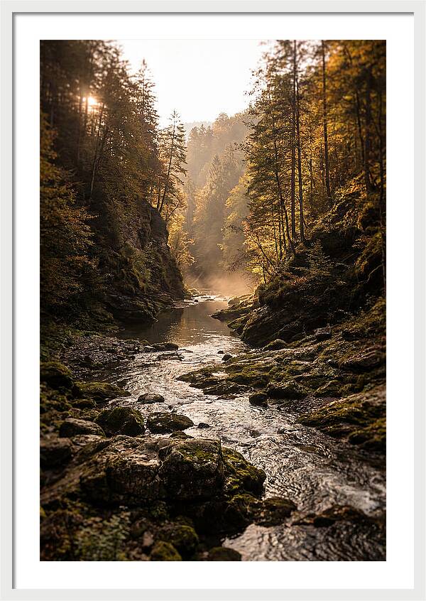 Whispers Of Pine Creek