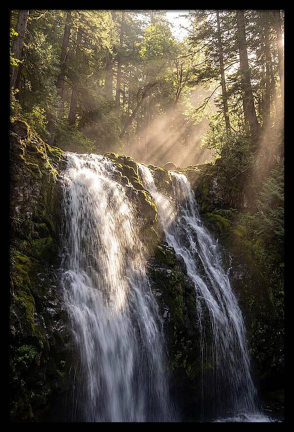 Whispers Of Silver Falls