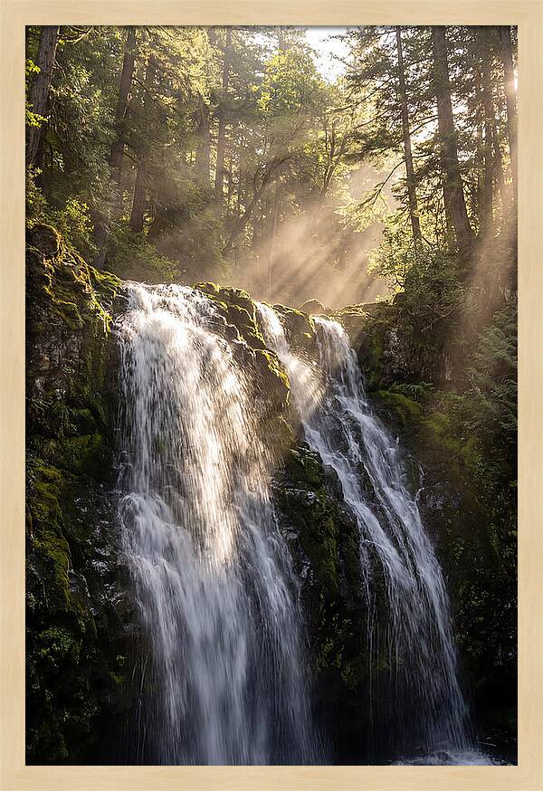 Whispers Of Silver Falls