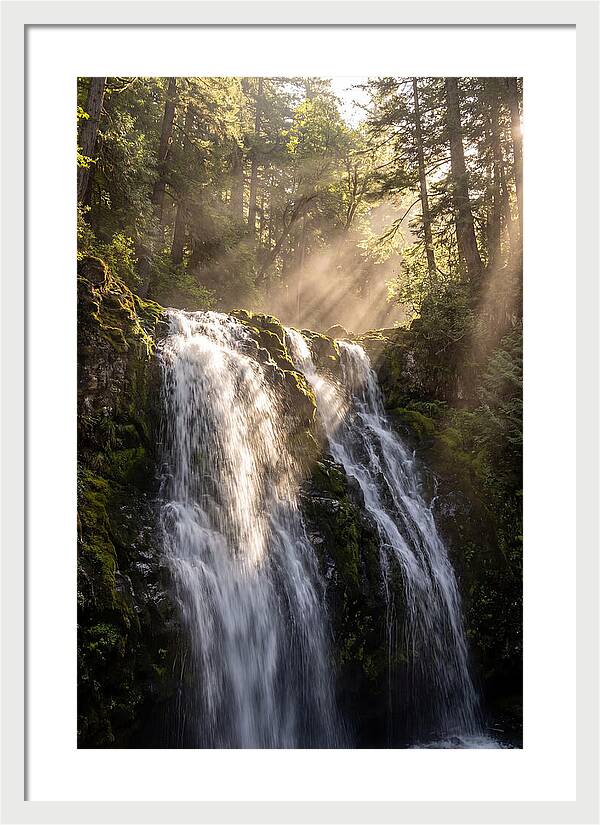 Whispers Of Silver Falls