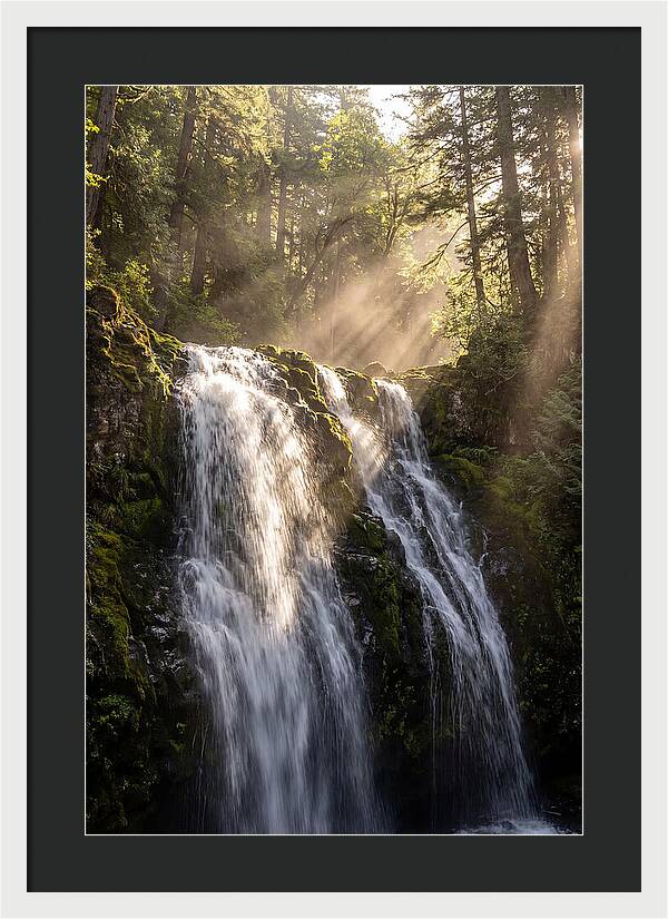 Whispers Of Silver Falls