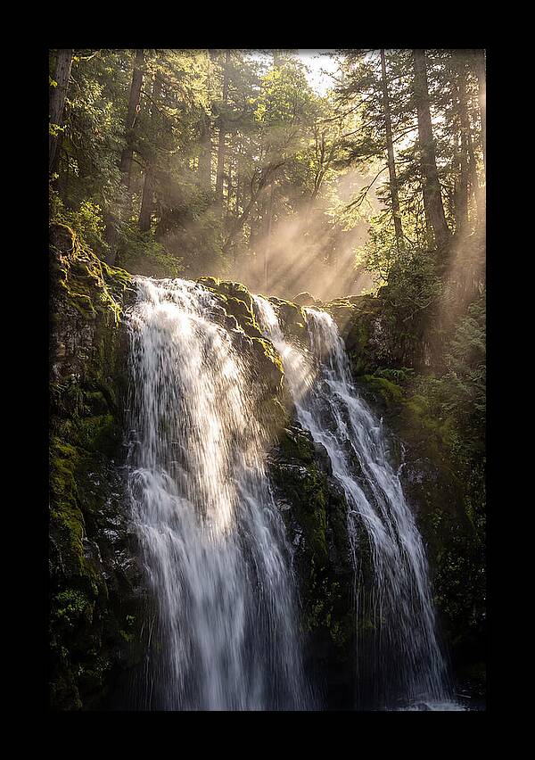 Whispers Of Silver Falls
