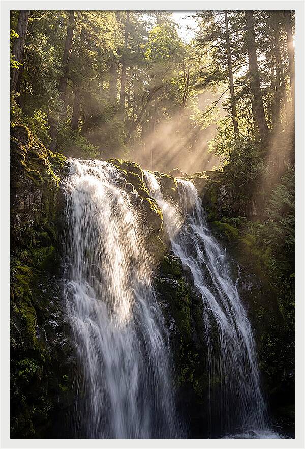 Whispers Of Silver Falls