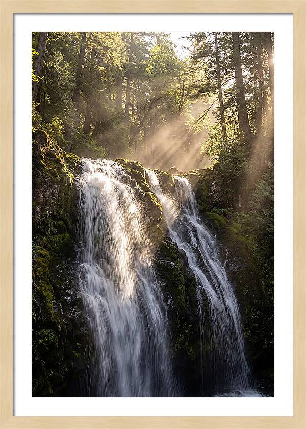 Whispers Of Silver Falls