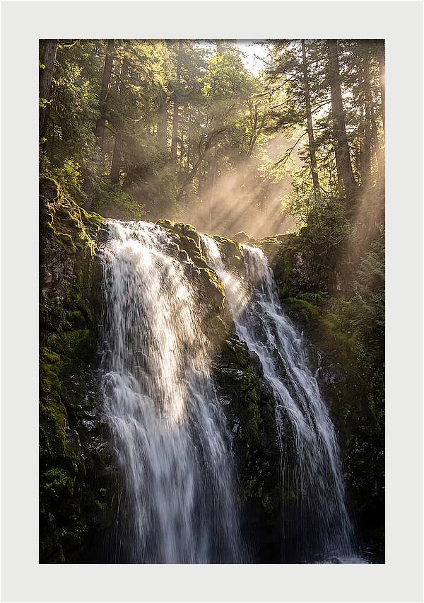 Whispers Of Silver Falls