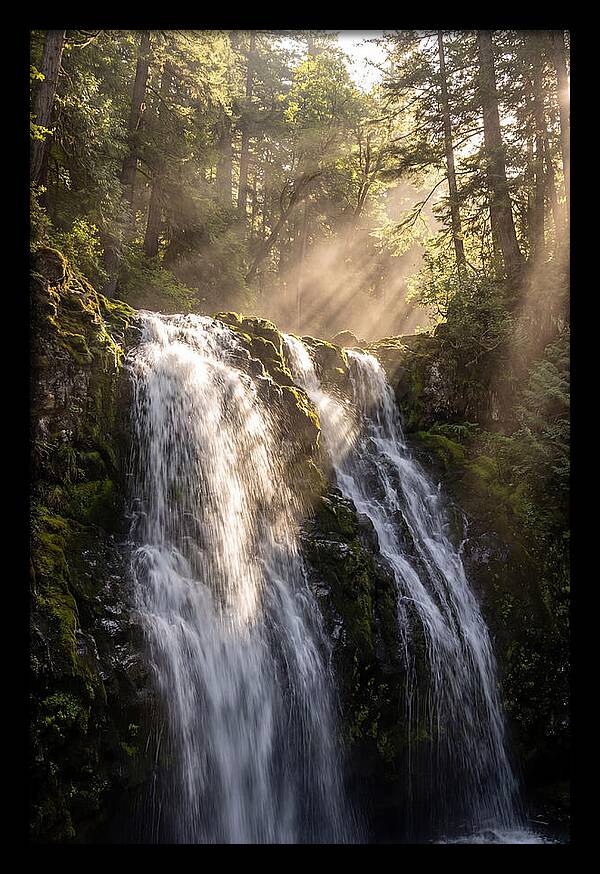 Whispers Of Silver Falls