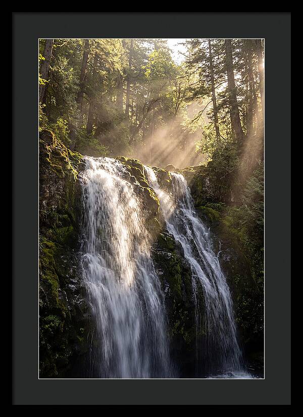 Whispers Of Silver Falls