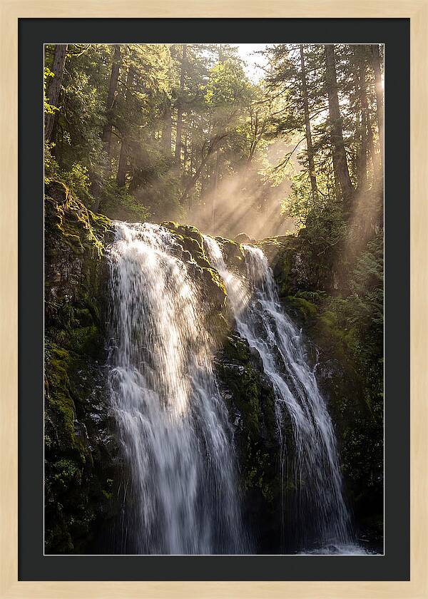 Whispers Of Silver Falls