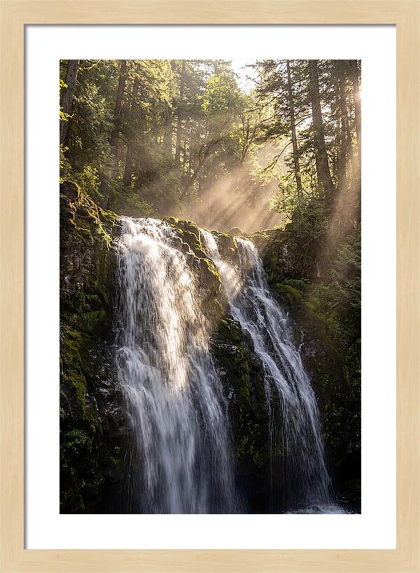 Whispers Of Silver Falls