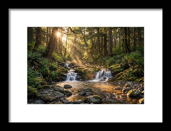 Whispers Of Tanyard Creek