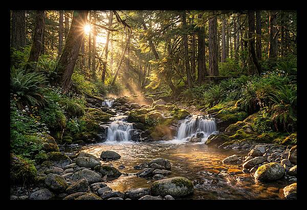 Whispers Of Tanyard Creek