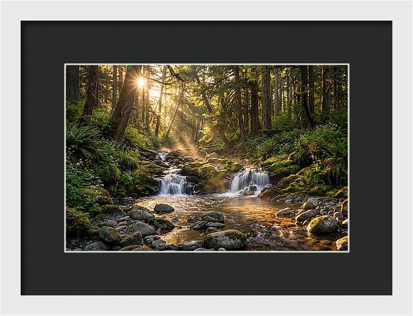 Whispers Of Tanyard Creek