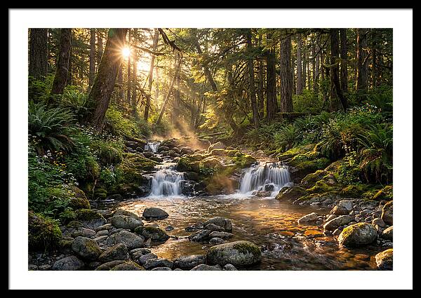 Whispers Of Tanyard Creek