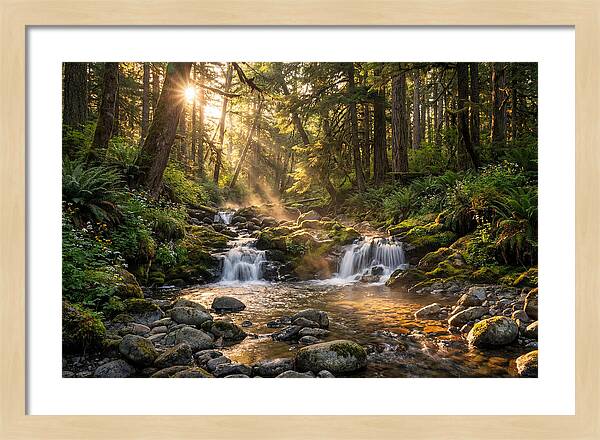 Whispers Of Tanyard Creek