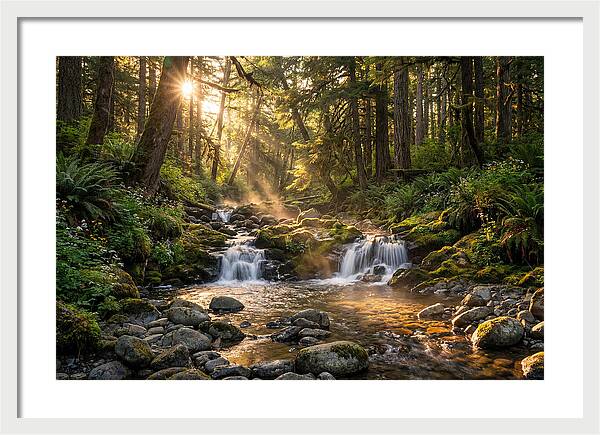 Whispers Of Tanyard Creek