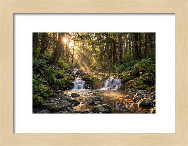 Whispers Of Tanyard Creek