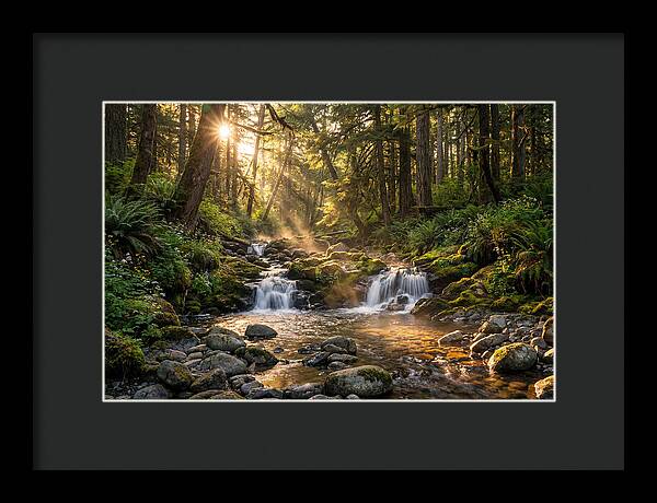 Whispers Of Tanyard Creek