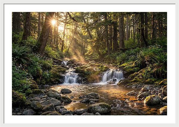 Whispers Of Tanyard Creek
