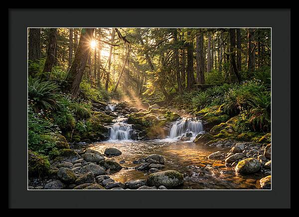 Whispers Of Tanyard Creek