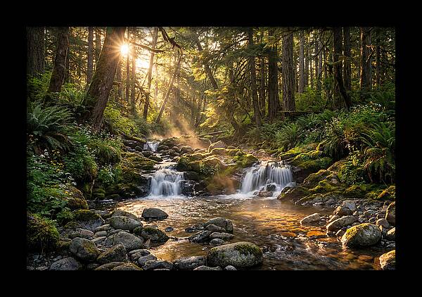 Whispers Of Tanyard Creek