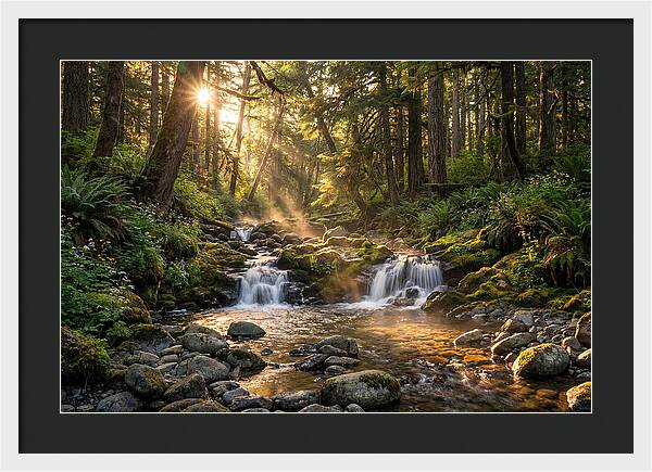 Whispers Of Tanyard Creek