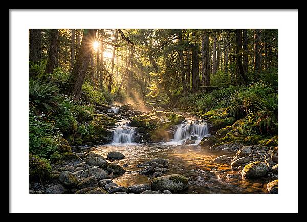 Whispers Of Tanyard Creek